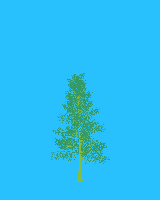 greenshift tree