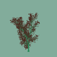 greenshift tree