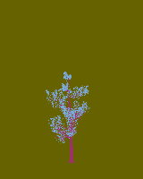 greenshift tree