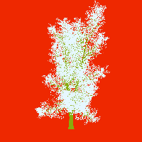 greenshift tree