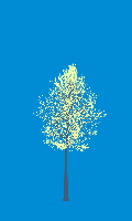 greenshift tree