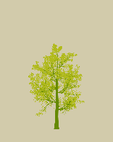 greenshift tree