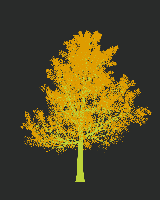 greenshift tree