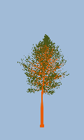 greenshift tree