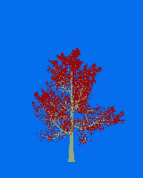 greenshift tree