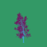 greenshift tree