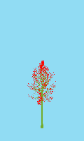 greenshift tree