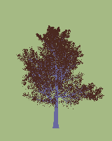 greenshift tree