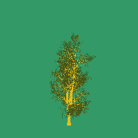 greenshift tree