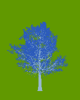 greenshift tree