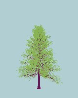 greenshift tree