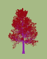 greenshift tree