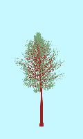 greenshift tree