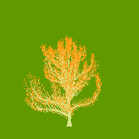 greenshift tree