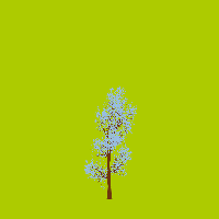 greenshift tree