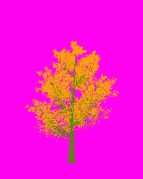 greenshift tree