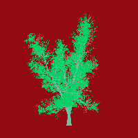 greenshift tree