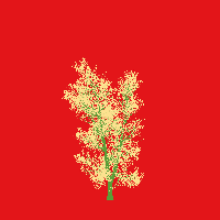 greenshift tree