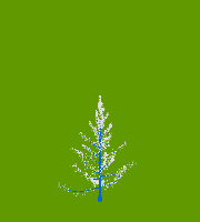 greenshift tree