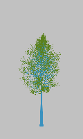 greenshift tree