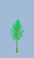 greenshift tree