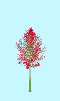 greenshift tree