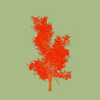 greenshift tree