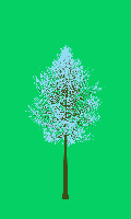 greenshift tree