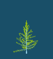 greenshift tree