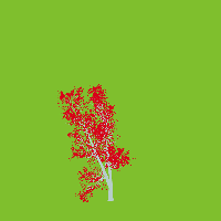 greenshift tree