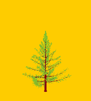 greenshift tree