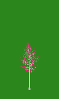 greenshift tree