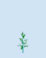greenshift tree