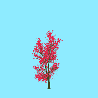 greenshift tree