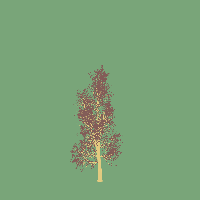 greenshift tree