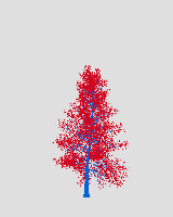 greenshift tree