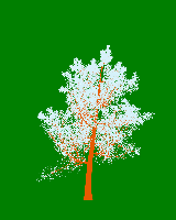 greenshift tree