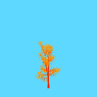 greenshift tree
