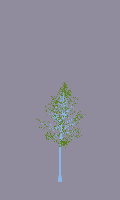 greenshift tree