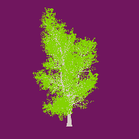 greenshift tree