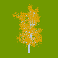 greenshift tree