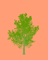 greenshift tree