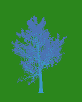 greenshift tree