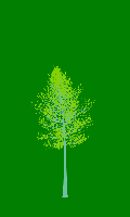 greenshift tree