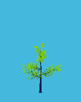 greenshift tree