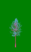 greenshift tree