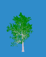 greenshift tree
