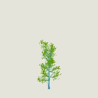 greenshift tree