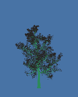 greenshift tree