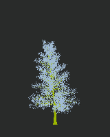 greenshift tree